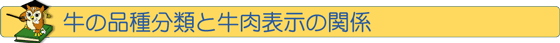 �^�C�g���F���̕i�핪�ނƋ����\���̊֌W